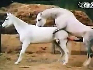 Throat zoo
