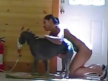 Free Porn zoo Net