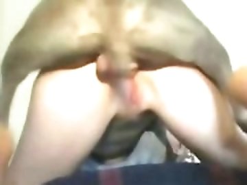 Porn Tube zoo