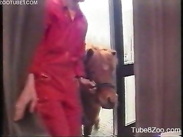 The zoo Porn