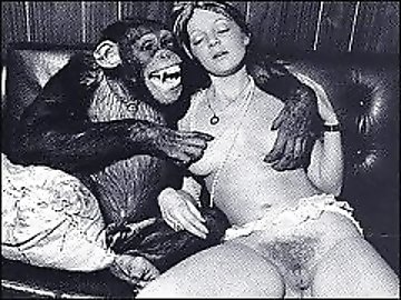 Tricked zoo