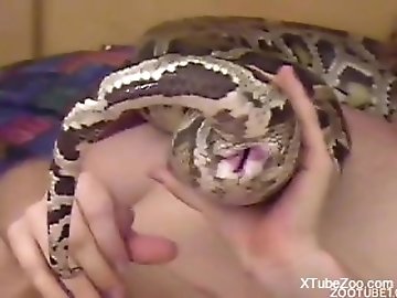 asian zoo tube