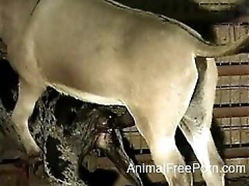 Vietnamese zoo