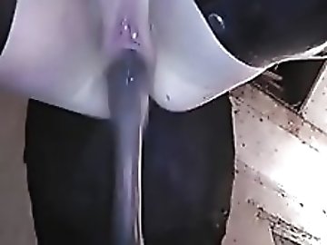 zoo Bestiality