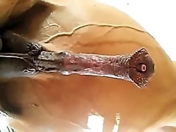 Video zoo Sex