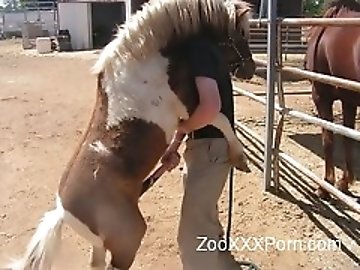 Thick zoo