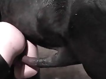 Massive zoo Fuck