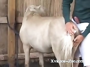 zoo Porn Videos
